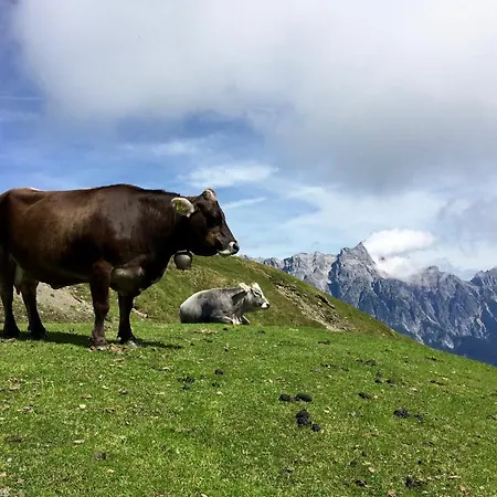 Mountain Daire Leogang
