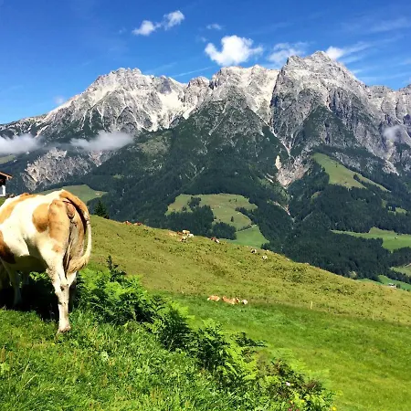 Lägenhet Mountain